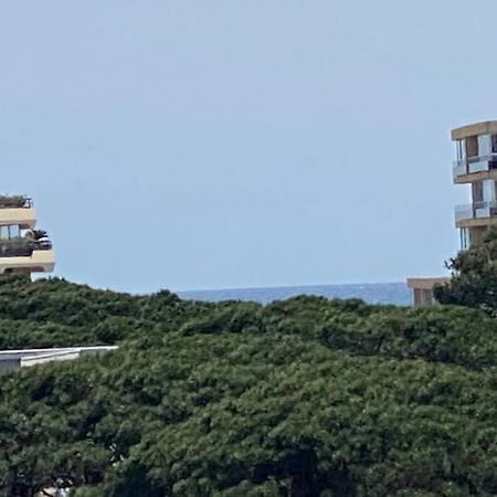 Tres Beau T4 A Frejus Plage公寓 外观 照片